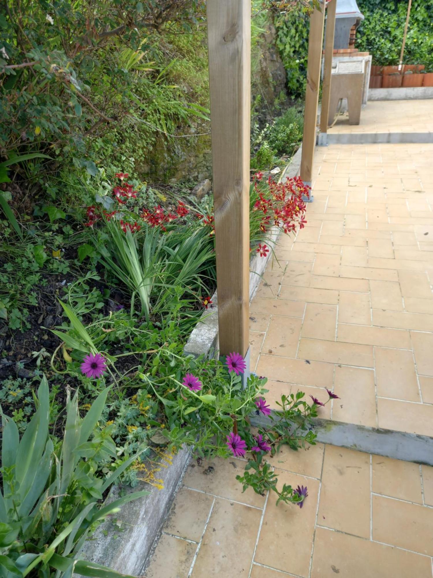 Holiday home Charme Rustico Aljezur